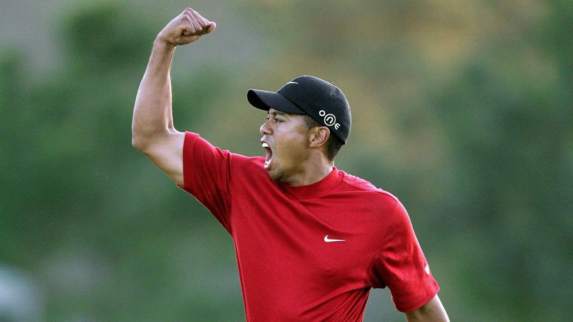 Tiger Woods
